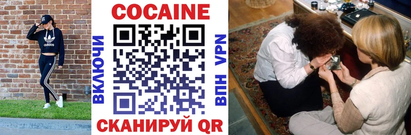 mega зеркало  где найти наркотики  Выборг  КОКАИН FishScale 