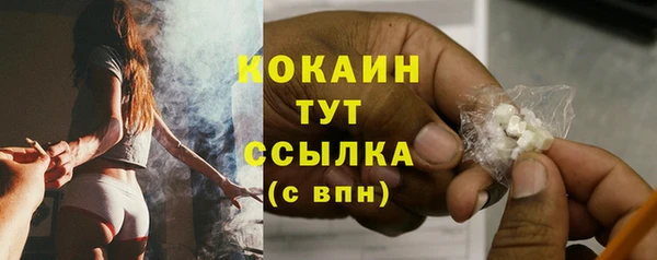 ПСИЛОЦИБИНОВЫЕ ГРИБЫ Протвино