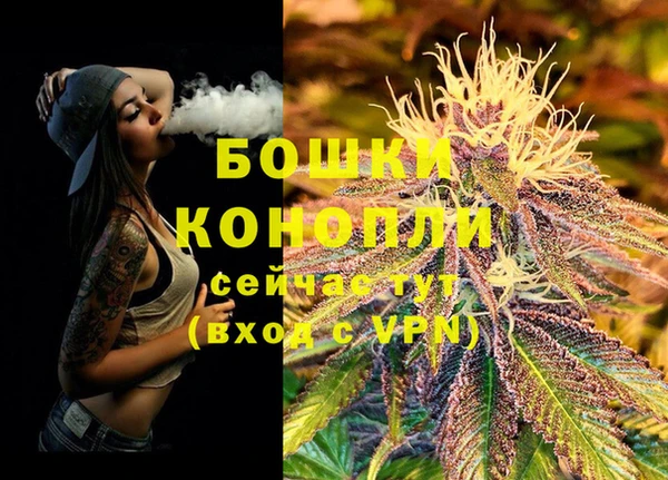 крисы Приозерск