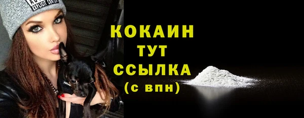дурь Дубовка