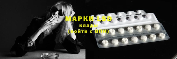 крисы Приозерск