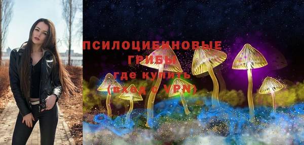 крисы Приозерск