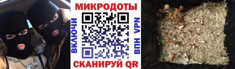 Галлюциногенные грибы прущие грибы Выборг