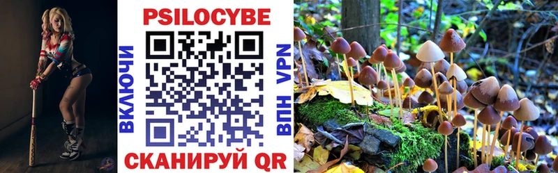 Галлюциногенные грибы Magic Shrooms  Выборг 