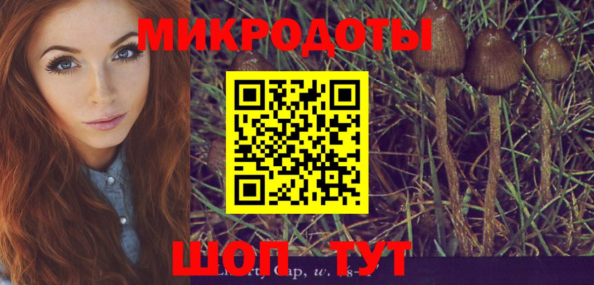 Галлюциногенные грибы GOLDEN TEACHER Выборг