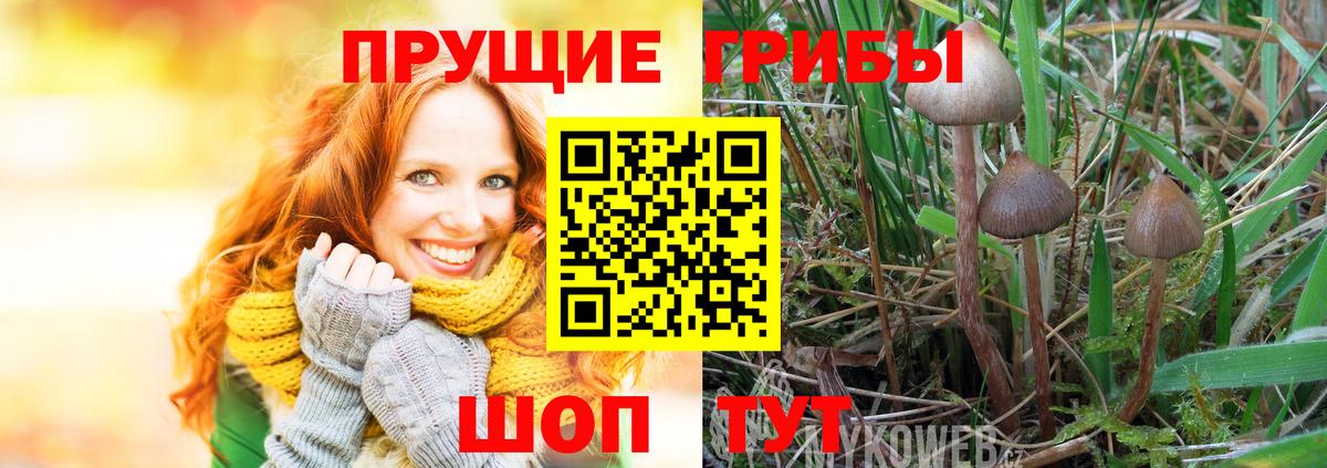 Галлюциногенные грибы мухоморы  Вход с VPN  купить наркоту  Выборг 